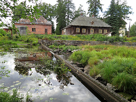 Yläneenjoki, Marjo Tarvainen